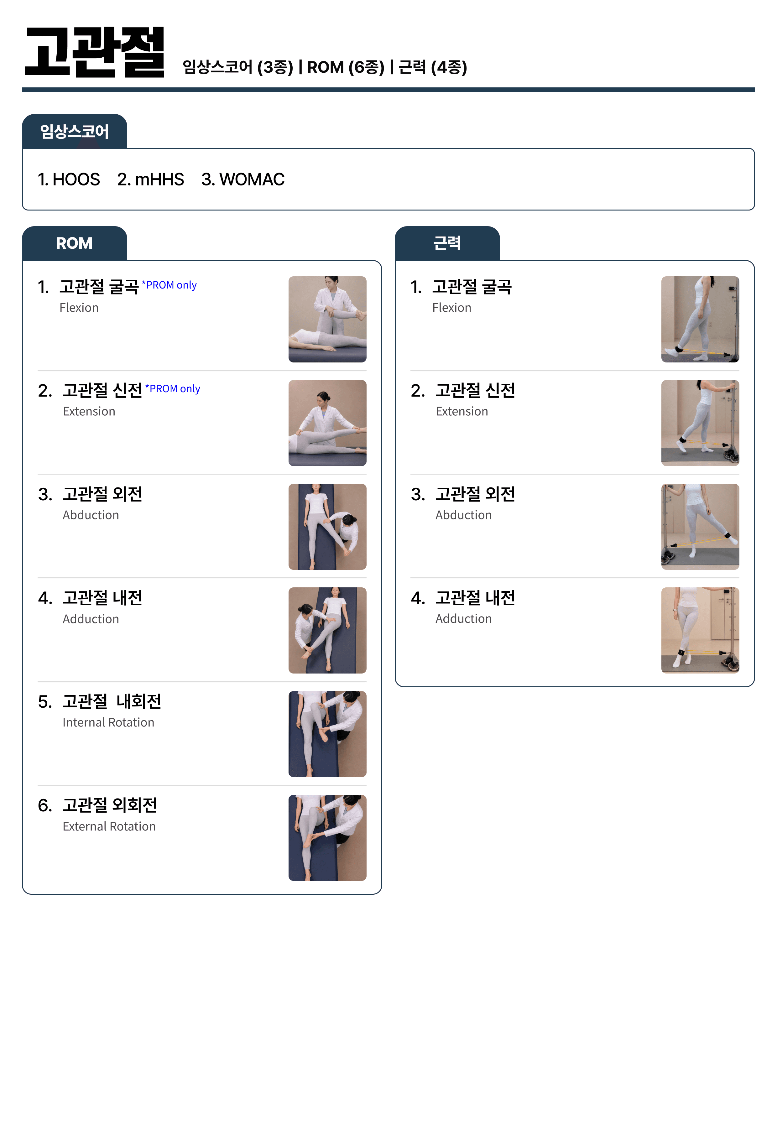 고관절